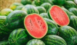 qq网红群吃瓜,一场吃瓜盛宴背后的网络生态