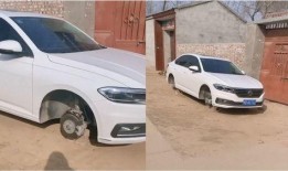 河南车友爆料视频最新版,揭秘惊人真相！