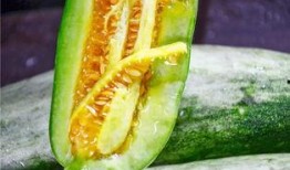 网红王璐茜吃瓜合集