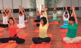 老处女日记在线观看,揭秘女性内心世界的心灵之旅