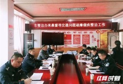 桑植新闻爆料最新视频,视频揭露惊人真相