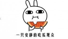 免费版吃瓜群众,揭秘网络舆论场的众生相