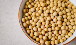 二辰爆料小黄豆视频,带你走进神秘事件背后