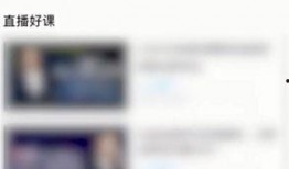 薄荷爆料视频回放在哪看,独家观看指南