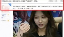 主播私播视频在线观看,在线观看背后的精彩瞬间