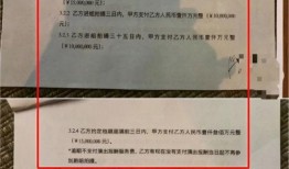 圈内爆料阴阳合同,阴阳合同背后的惊人内幕