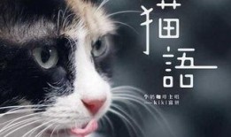 猫之城最新爆料视频网,最新爆料视频带你探秘神秘猫界