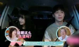 东北男人爆料视频大全下载,揭秘东北风情与生活点滴