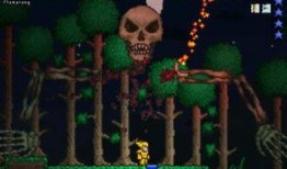 泰拉瑞亚最新爆料,神秘爆料揭示未来游戏走向