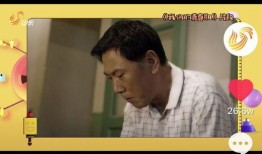 雪狼爆料静雯视频播放,静雯视频幕后真相，播放量惊人引热议