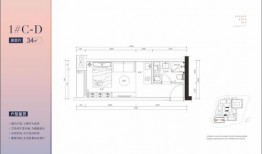 深圳福永最新爆料,揭秘区域发展新动态与未来规划