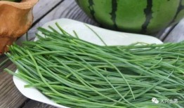 网红吃瓜什么梗,揭秘娱乐圈背后的秘密与八卦风云