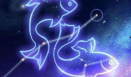 双鱼座女孩爆料视频,视频爆料背后的真实故事