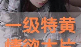 情欲片在线观看,在线观看的激情之旅