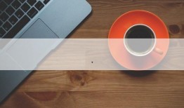 爆料猫博主养鸟视频下载,视频下载背后的温馨瞬间