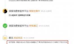 周黑鸭爆料吐槽视频在线观看,揭秘食品行业背后的真相