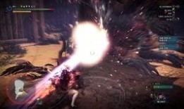 灭尽之嗣爆料视频大全,揭秘幕后真相与精彩瞬间