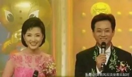 朱军爆料杨澜视频全集,揭秘背后惊人内幕