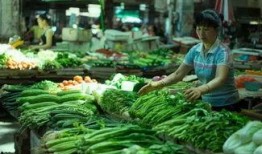 河南卖菜网红吃博洋瓜,美味瞬间引爆味蕾