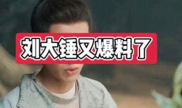 刘大锤爆料可信吗视频,视频内容深度分析