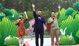 冷江大桥爆料视频最新,揭秘工程进展与背后故事