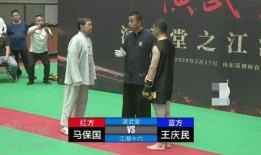 拳击马保国最新爆料,揭秘拳击界惊人内幕