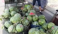 交城吃瓜事件网红,网红引发的网络狂欢与反思