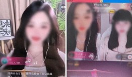 主播私播视频在线观看,在线观看背后的精彩瞬间