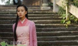 射雕2024最新爆料,江湖风云再起，全新爆料揭秘剧情走向