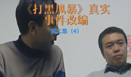 打黑风暴电视剧全集在线观看,揭秘反腐风暴中的正义之战