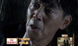 铁血锄奸全集在线观看,揭秘抗战英雄的惊心动魄传奇