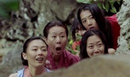 猛难诞生记在线观看,在线观看，揭秘动物世界的生存奇迹