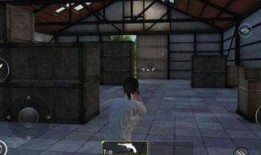 和平精英新红装爆料最新一期内容,华丽外观与强大性能并存，揭秘本期爆料亮点