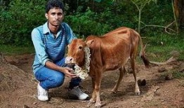 牛配牛视频在线观看