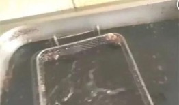 食品小哥爆料视频,视频曝光后厨惊人真相