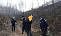 鲁山县最新爆料案件,惊人真相揭开神秘面纱