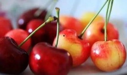 车厘子的最新爆料