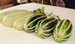 莱阳吃瓜网红是谁,网络红人的崛起与影响力