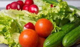 搞笑吃瓜番茄小说免费阅读,笑料百出，瓜田里的欢乐盛宴