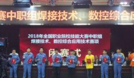 江苏职校爆料事件最新,揭开教育乱象背后的真相