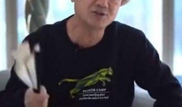 记者爆料胡说八道视频,揭秘真相背后的荒诞传闻