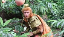 吴越版西游记在线观看,穿越时空的奇幻之旅