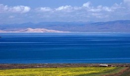 青海湖旅游爆料视频最新,揭秘神秘湖泊的绝美风光与独特魅力