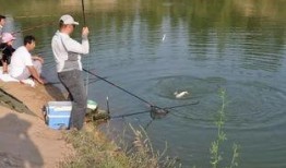 娱乐吃瓜钓鱼视频下载安装,娱乐吃瓜钓鱼视频，轻松安装体验新乐趣