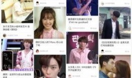 韩圈爆料最新消息,最新动态揭秘，明星幕后故事大起底！”