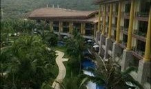 蓝色钱江放火案最新爆料