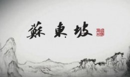 东坡爆料视频大全集在线观看,视频大全集在线观看，揭秘幕后真相