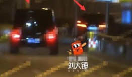 刘大锤爆料可信吗视频,视频内容深度分析