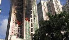 深圳爆料新闻去哪里看啊,实时追踪，一网打尽最新动态