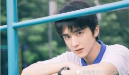 天涯爆料张新成视频,揭秘明星幕后生活